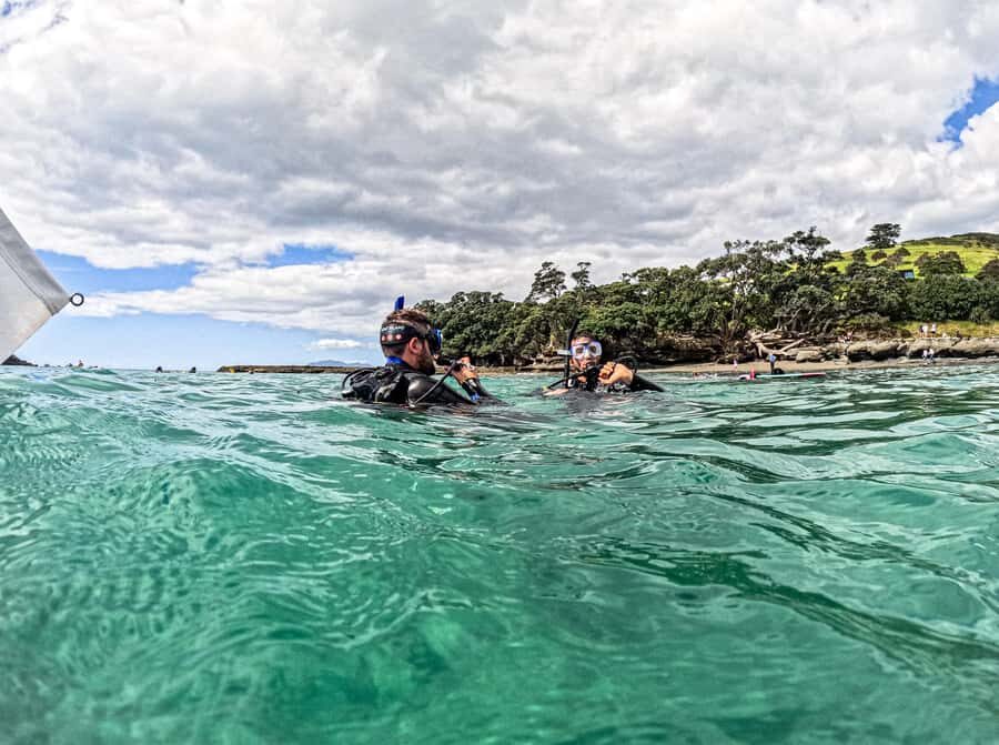 Goat Island Try Scuba Diving Experience - Leigh departure and the 4-hour half-day rhythm
