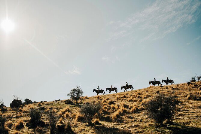Gold Discovery Trail Horse Trek Cardrona - Most popular! - Key things I’d zero in on