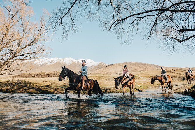 Gold Discovery Trail Horse Trek Cardrona - Most popular! - Cardrona Valley and the Gold Discovery Trail: what makes it work