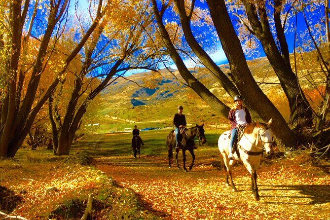 Gold Discovery Trail Horse Trek Cardrona - Most popular! - How the matching and instruction keep beginners comfortable