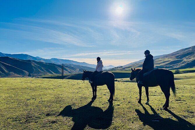 Gold Discovery Trail Horse Trek Cardrona - Most popular! - Price and value: is $309.67 for 2 hours worth it?