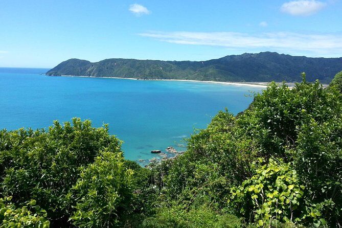 Golden Bay in a Day - Key things I’d circle before you go