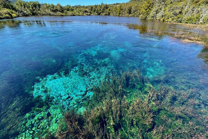 Golden Bay in a Day - A Day Trip That Links Golden Bay’s Big Two: Abel Tasman and Kahurangi