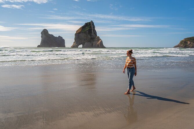Golden Bay in a Day - Abel Tasman National Park and Wainui Falls: The Walk You Actually Remember