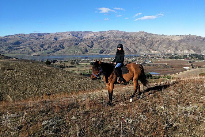 Golden Hills Horse Trek in Central Otago - Golden Hills Horse Trek in Central Otago: what it’s really like
