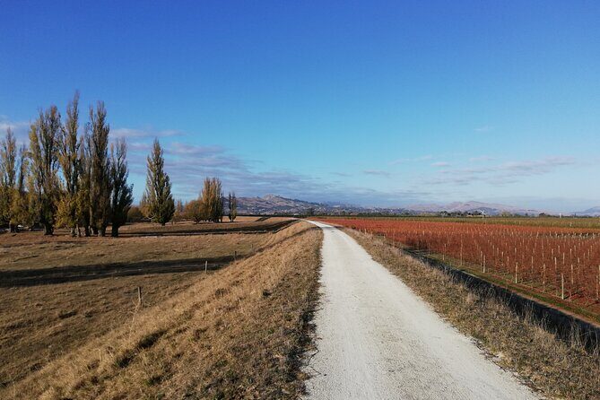 Great Escape Self-Guided Scenic Cycle Winery Tour from Napier - A self-guided cycling day that still feels well planned