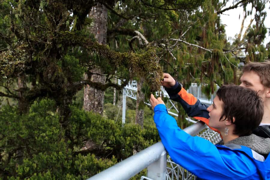 Greymouth: Full-Day Best Of The West Tour - Price and value: what $214 buys you in an 8-hour day