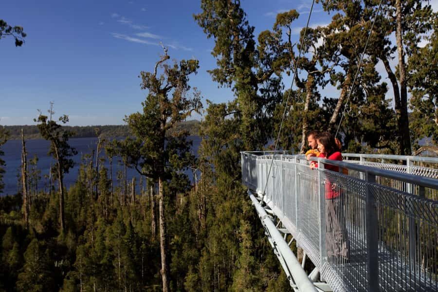 Greymouth: Hokitika Gorge and Tree Top Walkway Half-Day Tour - Tree Top Walkway: hearing birds above rimu and kamahi