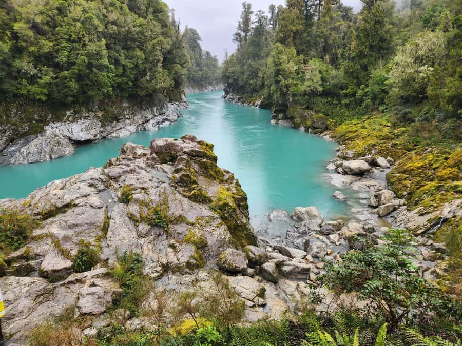 Greymouth: Hokitika Gorge and Tree Top Walkway Half-Day Tour - Price and what you’re actually getting for $122
