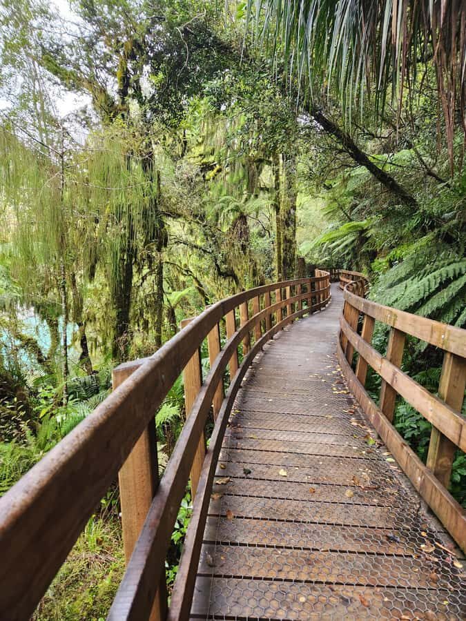 Greymouth: Hokitika Gorge and Tree Top Walkway Half-Day Tour - Pace, comfort, and the real-world effort