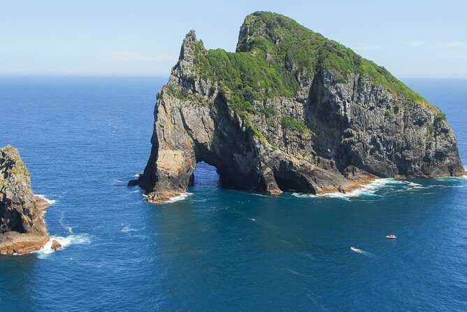Group tour to Bay of Islands return from Auckland - Paihia Harbour Cruise: Dolphin-Spotting in a 144-Island Playground