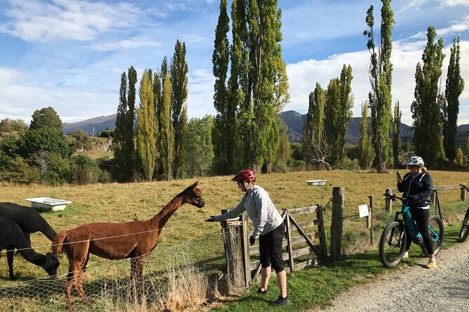 Guided eBike Wine Tour Ride to the Vines - Arrowtown to the Vineyard Route: Getting Started Smoothly