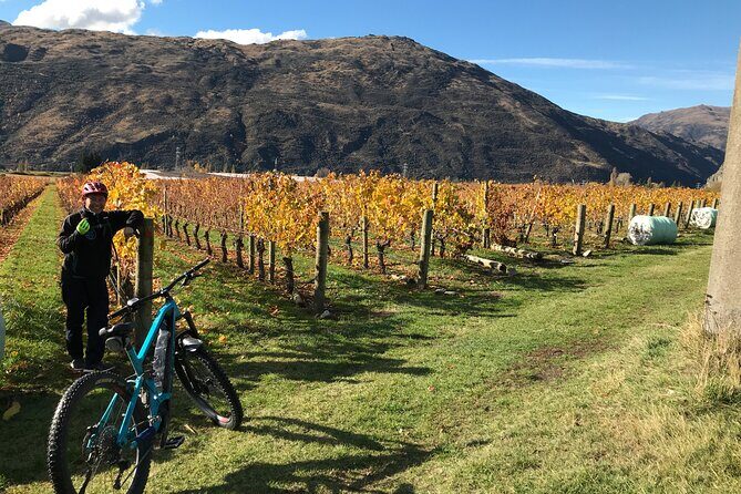 Guided eBike Wine Tour Ride to the Vines - Central Otago Extras: Vine Growing Secrets and Local Stories