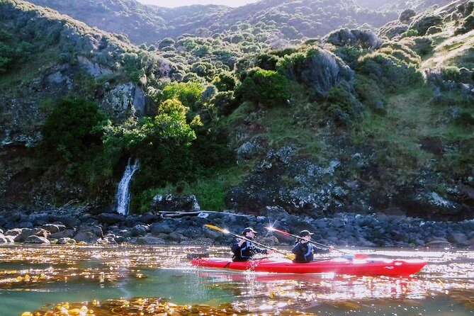 Guided Electric Mountain Bike & Sea Kayak Tour in Akaroa - Morning E-Bike: From Akaroa to the Crater Summit (With Turbo Help)