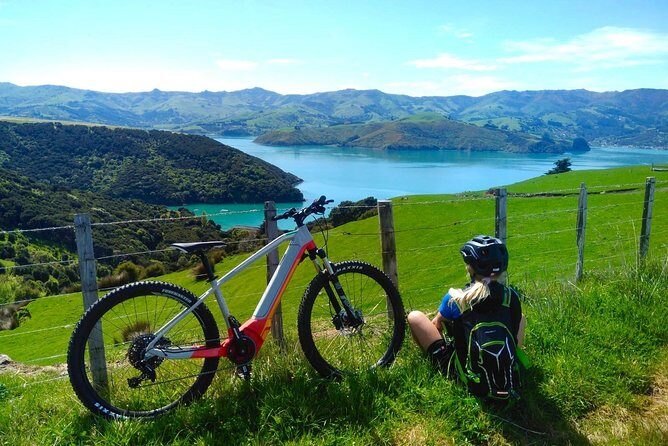Guided Electric Mountain Bike & Sea Kayak Tour in Akaroa - What You’ll Learn (And Why It Makes the Day Better)