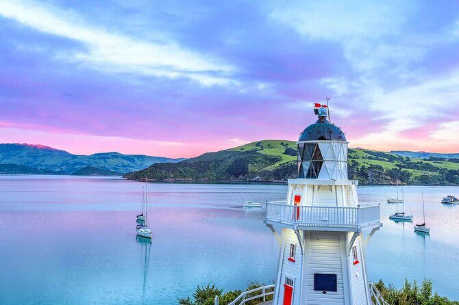 Guided Electric Mountain Bike Tour- Akaroa Explorer - Timing, group size, and what to plan around