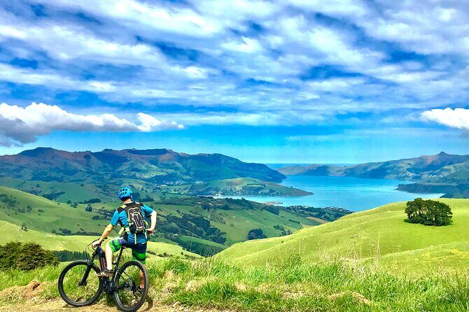 Guided Electric Mountain Bike Tour- Akaroa Explorer - Who this electric mountain bike tour is best for