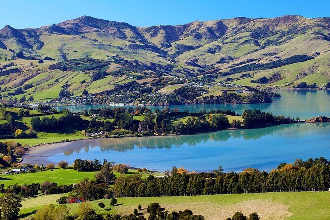 Guided Electric Mountain Bike Tour- Akaroa Explorer - Price and value: is $96.19 per person a good deal?