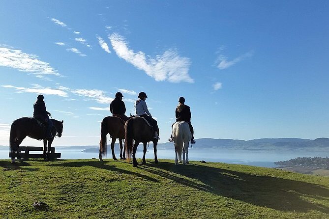 Guided Horse Trekking from Rotorua - Key things to know before you go