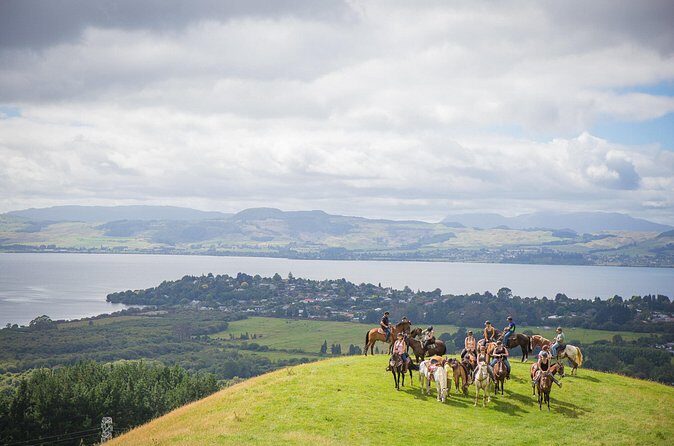 Guided Horse Trekking from Rotorua - Horse Trekking Above Rotorua: The Simple Route to Scenic Views