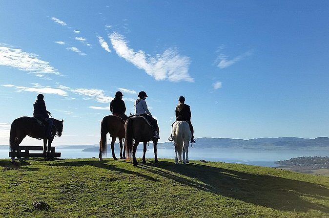 Guided Horse Trekking from Rotorua - What to Wear and Bring (Enclosed Shoes Are Non-Negotiable)