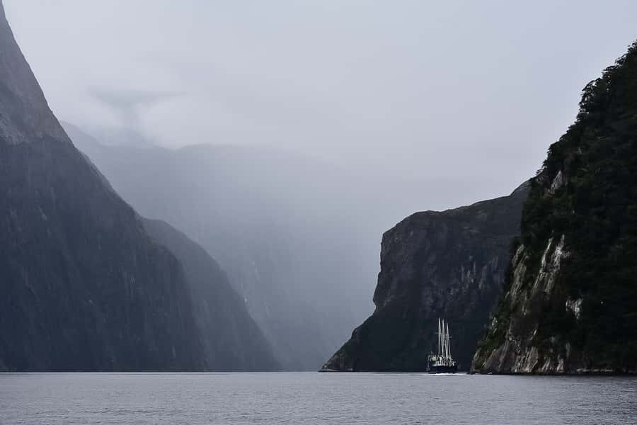 Guided Private Milford Sound Day Tour from Te Anau(Cruise In - Should you book the Guided Private Milford Sound Day Tour from Te Anau?