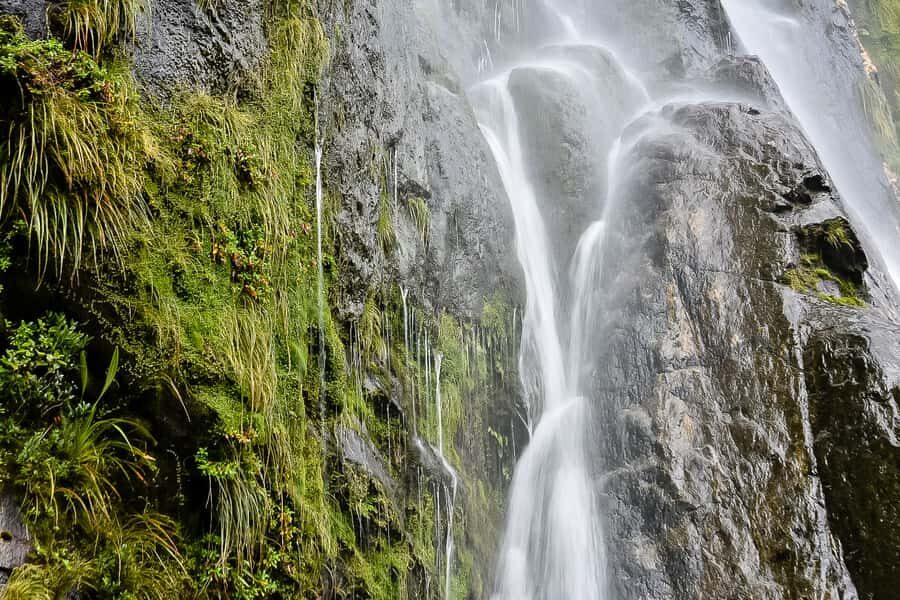 Guided Private Milford Sound Day Tour from Te Anau(Cruise In - Price and value: is $209 per person fair for a private Tesla + cruise day?