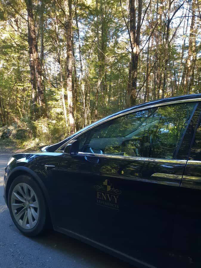 Guided Private Milford Sound Day Tour from Te Anau(Cruise In - Who this Milford Sound Tesla day is best for