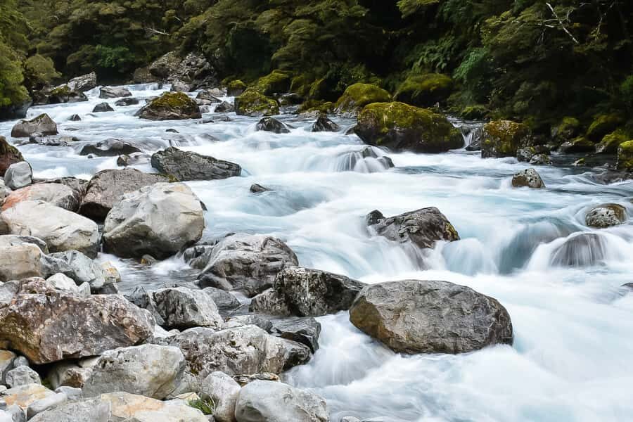 Guided Private Milford Sound Day Tour from Te Anau(Cruise In - Tesla pickup and the carbon-zero quiet factor