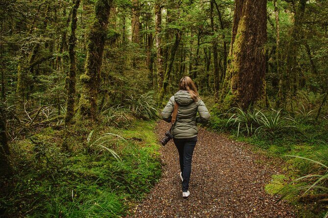 Guided Private Milford Sound Day Tour from Te Anau(Cruise Included) - The 8:30 am start: how your day flows