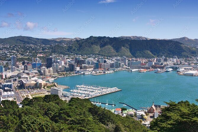 Guided Small Group Walking Tour in Wellington - Premier House and the Wellington fault line climb