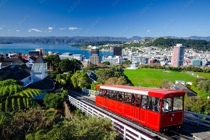 Guided Small Group Walking Tour in Wellington - Wellington Botanic Garden: native bush meets designed gardens