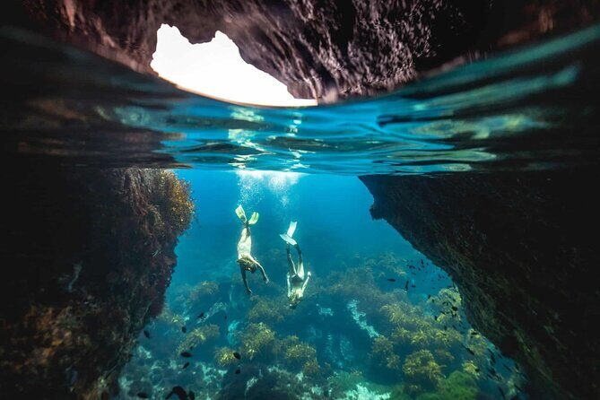Guided Snorkeling and Island Exploration in Auckland - Tiritiri Matangi Island: Why This Auckland Snorkeling Tour Feels Different