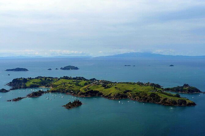 Guided Snorkeling and Island Exploration in Auckland - Price and What You Really Get for $93.09 Per Person