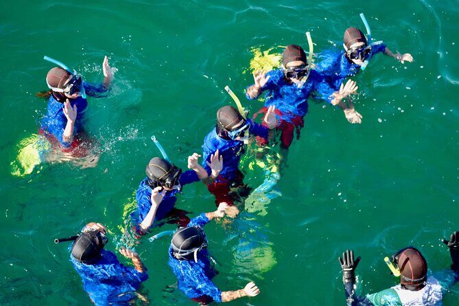 Guided Snorkeling and Island Exploration in Auckland - In the Water: Wetsuit Comfort, Mask Fit, and How to Get the Most Out of Snorkeling