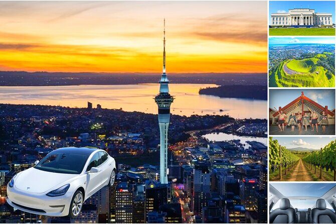Guided Snorkeling and Island Exploration in Auckland - Weather and Timing: When You Should Be Flexible