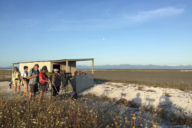 Guided Tour at Pukorokoro Shorebird Centre - Why this 90-minute shorebird tour feels like good value