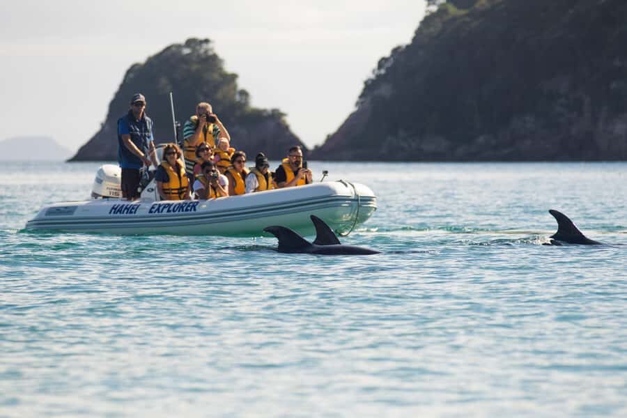 Hahei Explorer Cathedral Cove Boat Tour - Key Highlights You’ll Want to Know