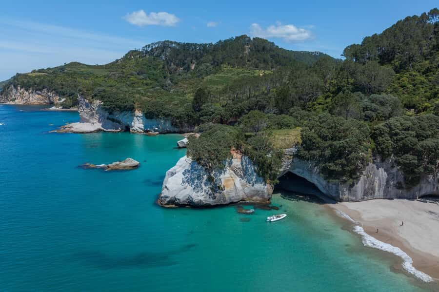 Hahei Explorer Cathedral Cove Boat Tour - Cathedral Cove Marine Reserve: Marine Life Up Close