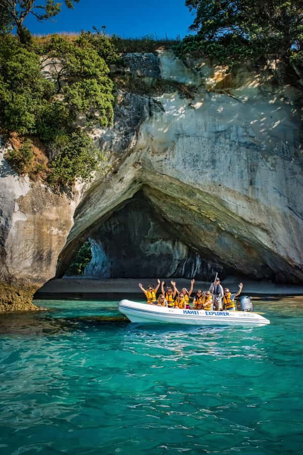 Hahei Explorer Cathedral Cove Boat Tour - Price and Value: What $86 Buys You