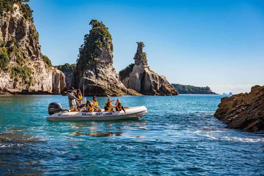 Hahei Explorer Cathedral Cove Boat Tour - Who Should Book This Tour, and Who Might Skip It