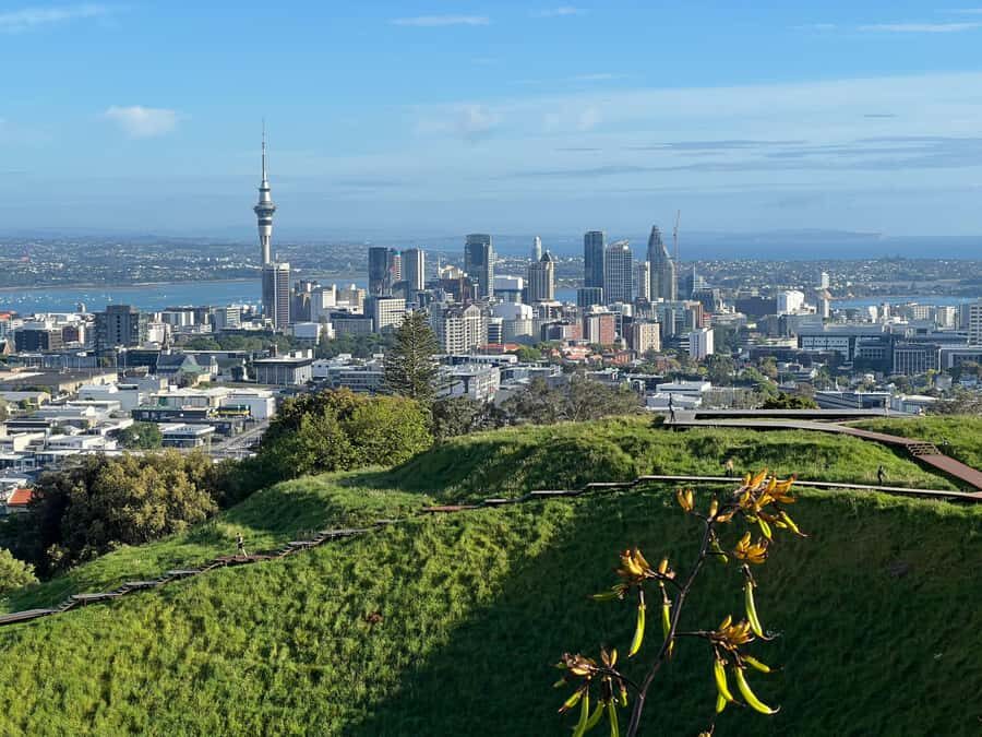 Half-Day Auckland City Highlights Tour with Hotel Pickup - Key things to know before you go