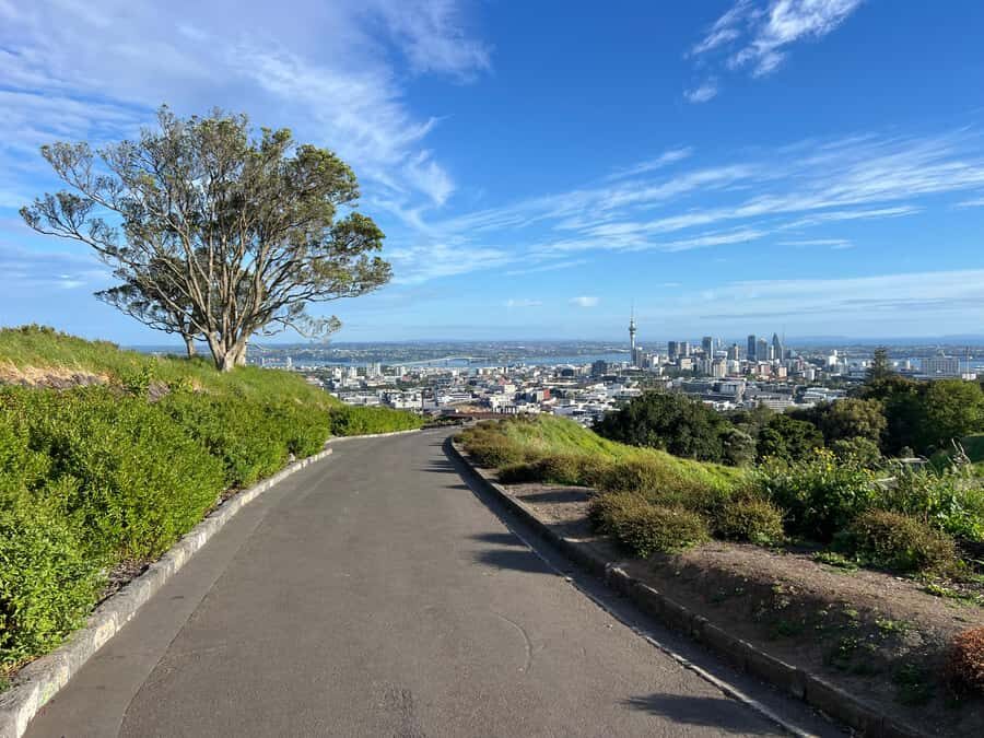 Half-Day Auckland City Highlights Tour with Hotel Pickup - Hotel Pickup and a Small-Group Pace That Works