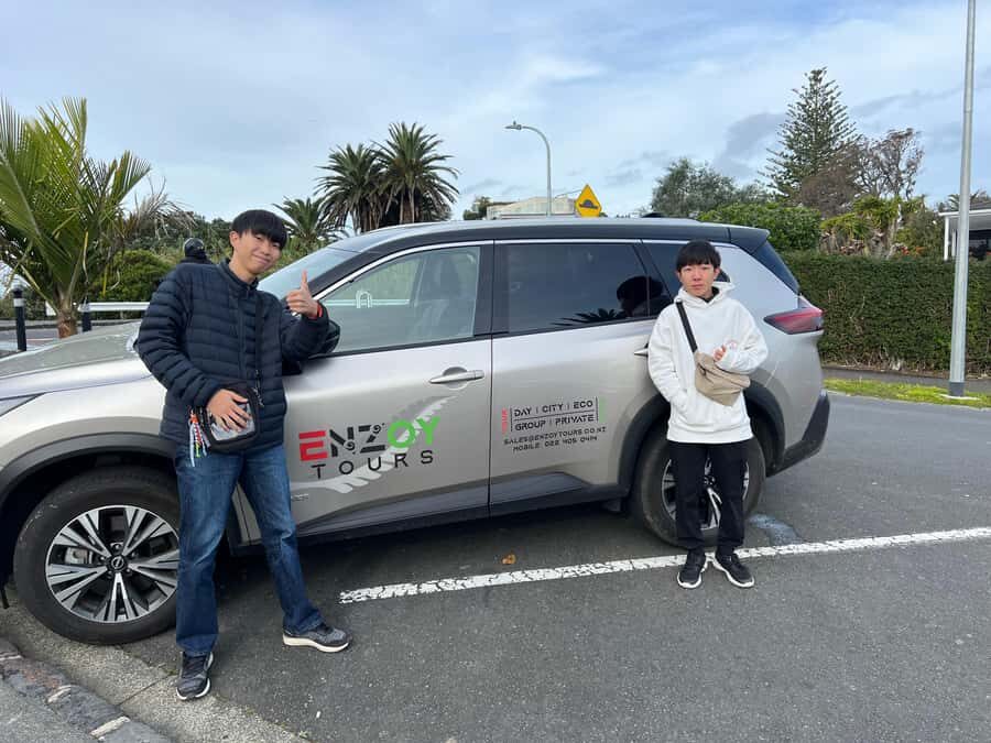 Half-Day Auckland City Highlights Tour with Hotel Pickup - Price and Value: What You’re Paying $89 For