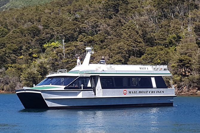 Half-Day Cruise in Marlborough Sounds from Picton - Key highlights to watch for
