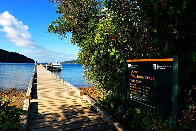 Half-Day Cruise in Marlborough Sounds from Picton - Queen Charlotte Sound cruising: wildlife odds and real-time narration