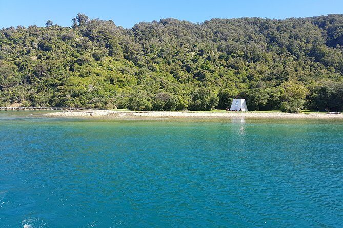 Half-Day Cruise in Marlborough Sounds from Picton - Price and value: is $65.78 a fair trade?