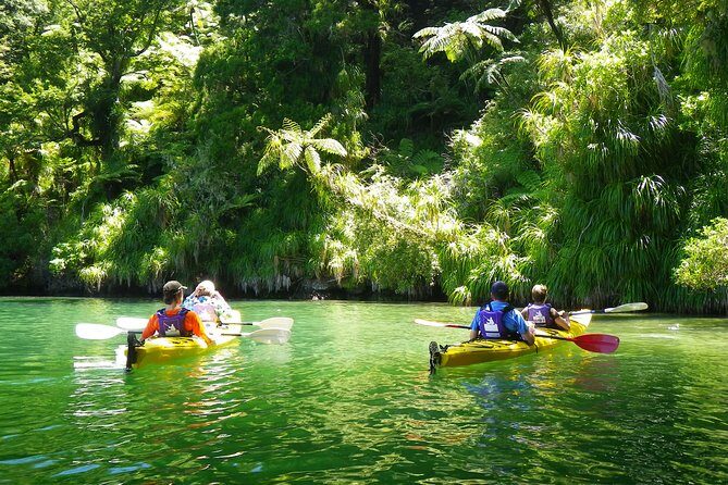 Half-Day Guided Sea Kayak Trip from Picton - Sea kayaking in Queen Charlotte Sound: the quick pitch
