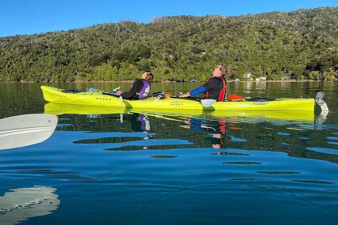 Half-Day Guided Sea Kayak Trip from Picton - What the guide actually does (Māori mythology + wildlife, not just facts)