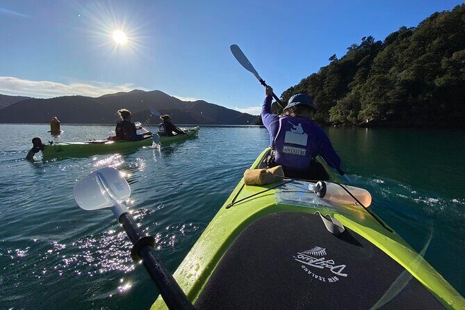 Half-Day Guided Sea Kayak Trip from Picton - Timing and energy level: is 4 hours too much?